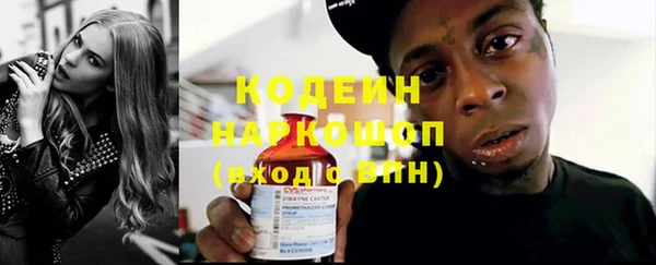 индика Киренск