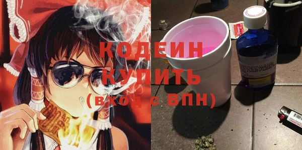 индика Киренск