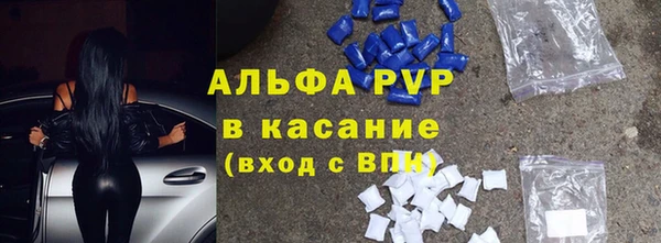 индика Киренск