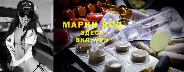 индика Киренск