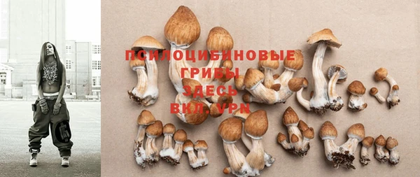 мескалин Киреевск