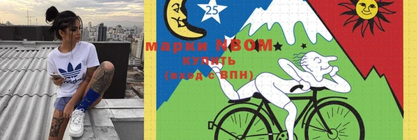 индика Киренск