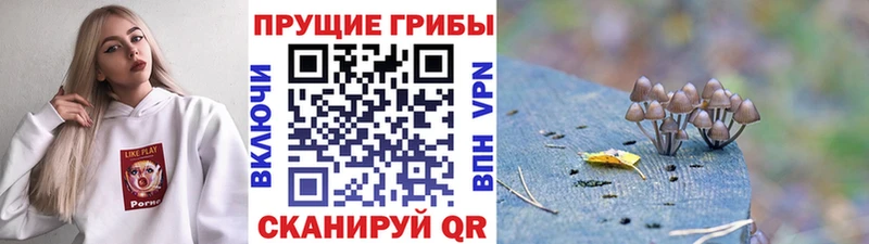 Галлюциногенные грибы ЛСД  Купить где  Астрахань 